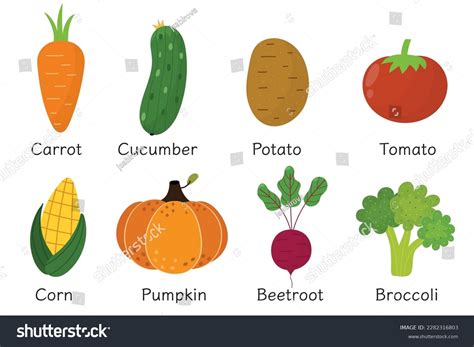 Fruits And Vegetables Drawing With Name