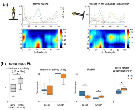 Evaluation of Spatiotemporal Patterns of the Spinal Muscle Coordination ...