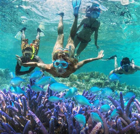 AORE ISLAND SNORKELLING (2026) All You Need to Know BEFORE You Go (with ...