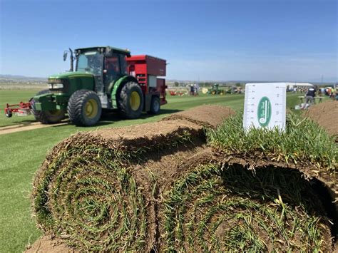 News & Media - Turfgrass Producers International