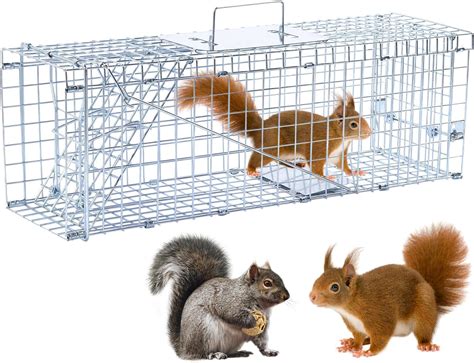 Amazon.com : 24" Humane Live Animal Trap Cage – Heavy-Duty Collapsible ...