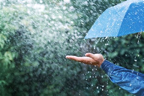 Why Does Rain Smell So Good? - Farmers' Almanac - Plan Your Day. Grow ...