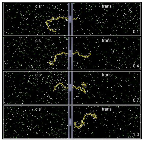 Polyelectrolyte Threading through a Nanopore