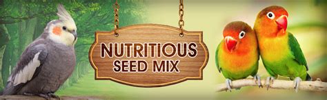 Buy Boltz Adult Bird Food for Cockatiel & Lovebirds Mix Seeds, Canary ...
