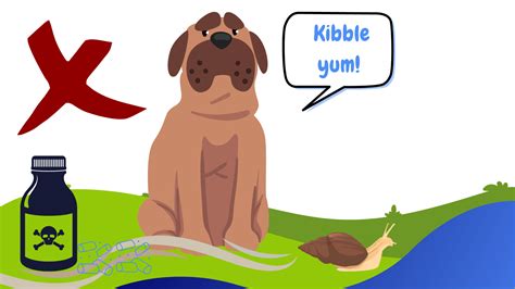 Slug and Snail Bait Poisoning - Warren House Veterinary Centre