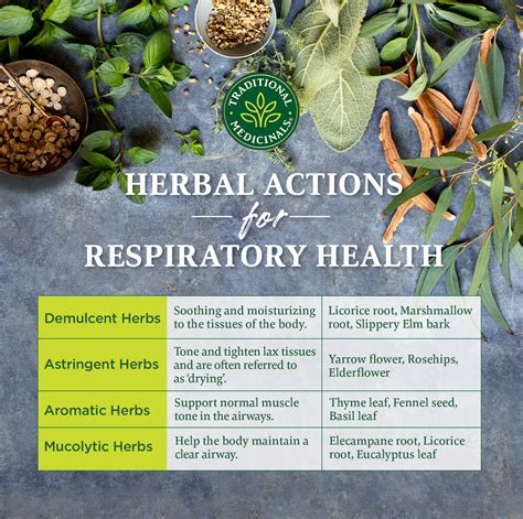 Herbs & The Respiratory System | Traditional Medicinals