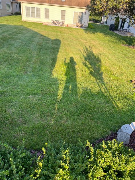 My Left Arm In French Duolingo at Troy Jenkins blog