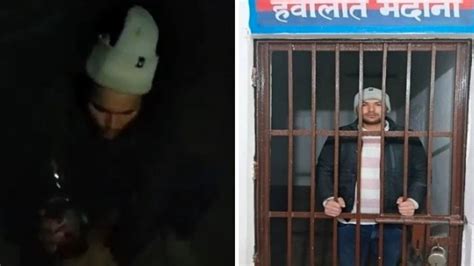 Animal Cruelty Caught On Cam: Man Forcibly Makes Stray Dog Drink ...