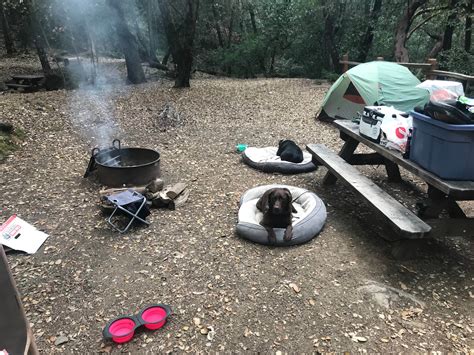 Uvas Canyon County Park Camping | Morgan Hill, CA