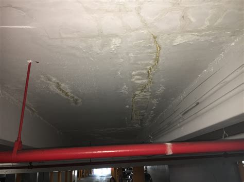 Slab Leak Repair Specialists - CL Wizard