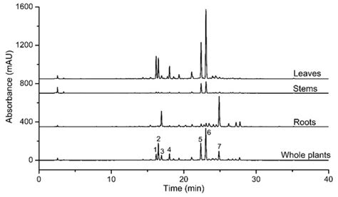 Molecules | Special Issue : Bioactive Flavonoids and Xanthones: From ...