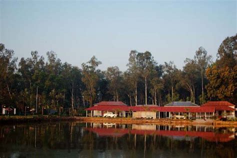 Joypur forest in Bankura district of West Bengal is a restrained place