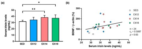 Impact of Exercise Intensity on Cerebral BDNF Levels: Role of FNDC5/Irisin