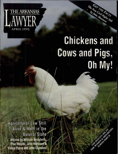 APRIL 1992 by Arkansas Bar Association - Issuu