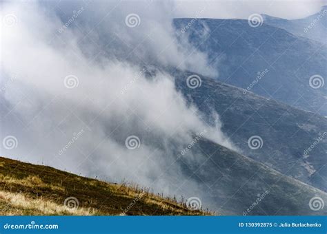 Changeable Autumn Leaves With Bible And Word Steadfast Stock Photo ...