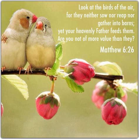 Matthew‬ ‭6‬:‭26‬ Bible verse. God loves, cares and provides for us all ...