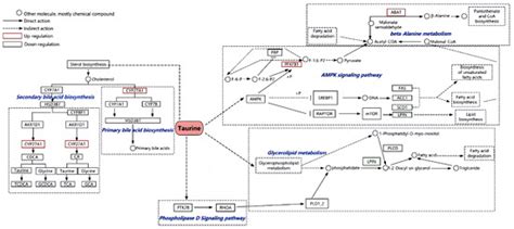 Animals | Special Issue : Novel Insights into Lipid Metabolism in ...
