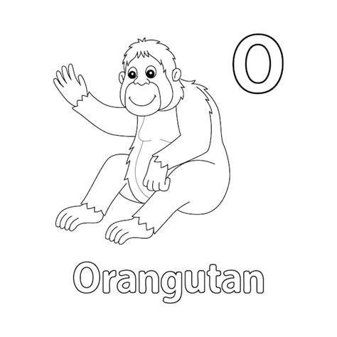 Orang-oetan alfabet ABC geïsoleerde kleurplaat O | Premium Vector