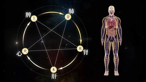 五行説とは | まりマ手帳スピリチュアル用語集