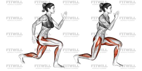 Image result for Split Jumps Exercise