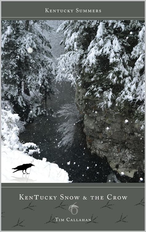 Kentucky Snow & the Crow (Kentucky Summers Book 6) eBook : Callahan ...