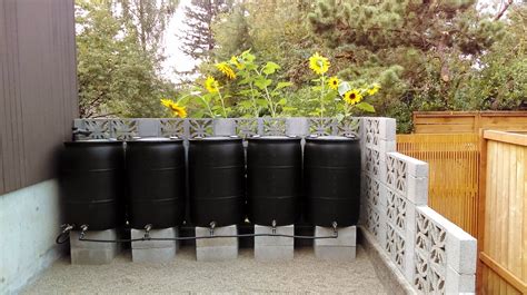 DIY Rain Barrel System: The Complete Guide
