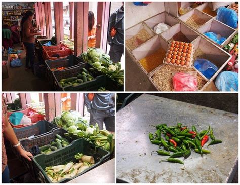 Sourcing Local Indigenous Ingredients in Chicago