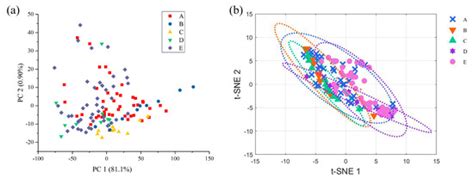 Attenuated Total Reflection-Fourier Transform Infrared Spectroscopy ...