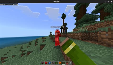 How to See Damage Minecraft Java 的图像结果