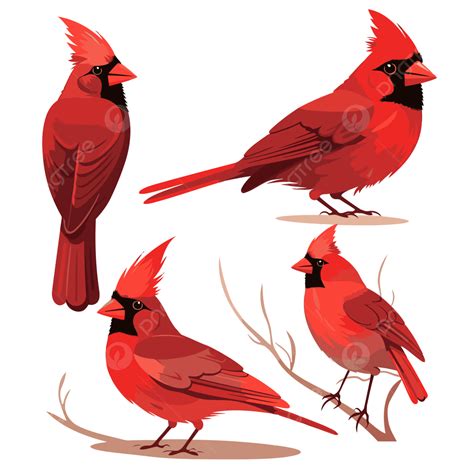 Cardinals Clip Art Printable