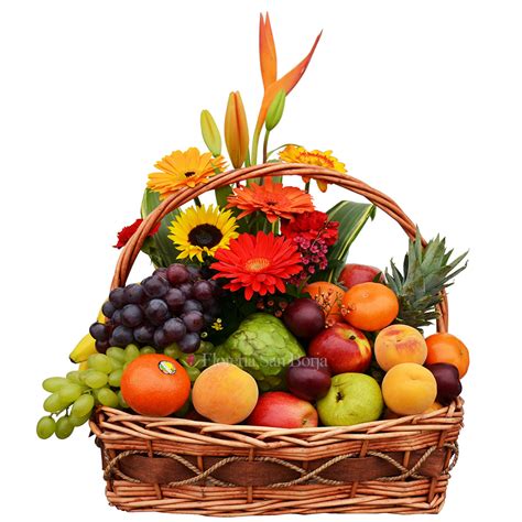 4 razones para regalar Canasta con Frutas | Floreria San Borja