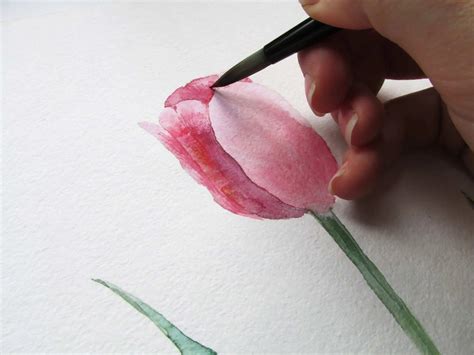 Learn How To Paint Tulips In Watercolor: Step-by-Step For Beginners