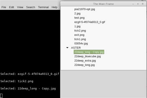 Image result for wxPython TreeView