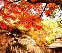 Image result for 秋意 The Sense of Autumn