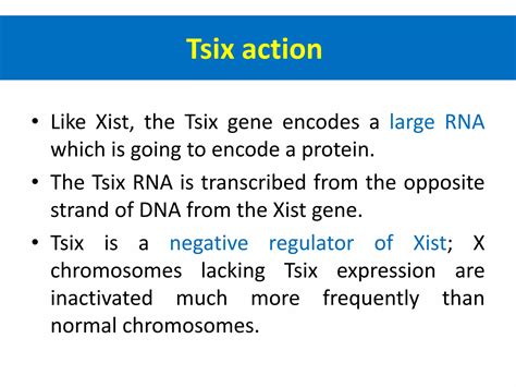 X chromosome Inactivation | PPTX