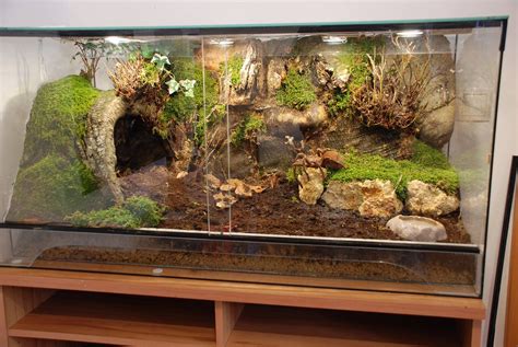 Timeline Photos - Aquarismo Alagoano | Reptile habitat, Reptile ...