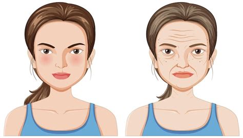 Image result for Aging Process Animation