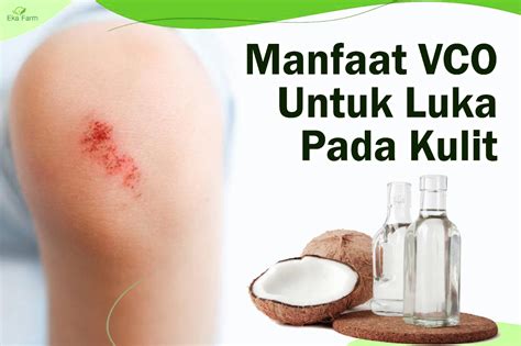 manfaat amoxicillin untuk luka bernanah