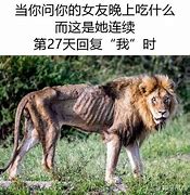 Image result for 偿命