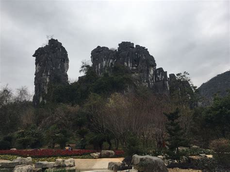 2019七星岩_旅游攻略_门票_地址_游记点评,桂林旅游景点推荐 - 去哪儿攻略社区