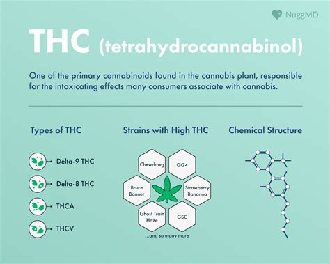 What is THC (and How Does It Work)? | NuggMD