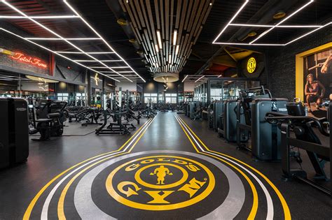 Gold's Gym Alexandria on Behance