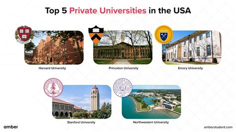 Private vs. Public Colleges: What's the Difference? | Amber