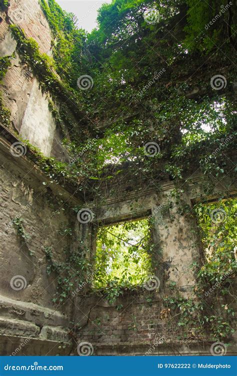 Creepy Ruined And Overgrown By Plants Interior Of Old Mansion. Life ...