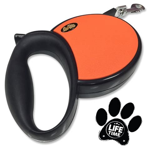 Best Retractable Dog Leashes: 5 Super Practical Options | HerePup!