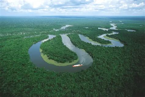 巴西·亚马逊雨林最原生态树屋酒店-序赞网