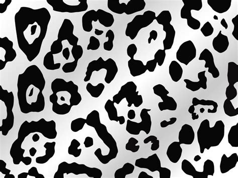 Download Black Gray Leopard Print Wallpaper | Wallpapers.com