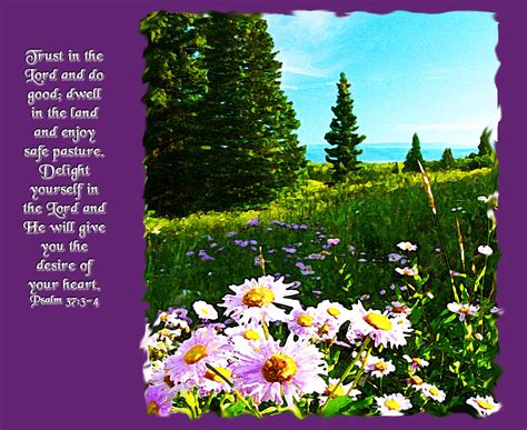 Psalm 37:3-4 Bible Verse Field of Wildflowers