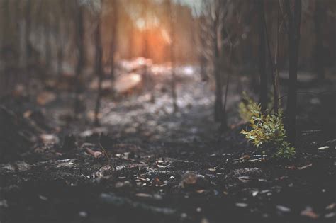 Baron & Budd Announces $24 Million Settlement with PG&E on Behalf of ...