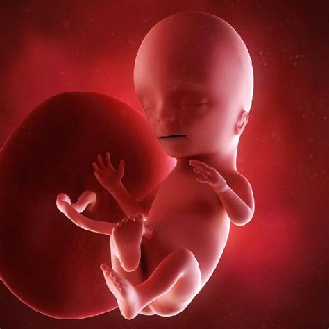 怀孕期间孕吐越厉害，胎儿就越聪明？别再为不必要的理论所迷惑！_孩子